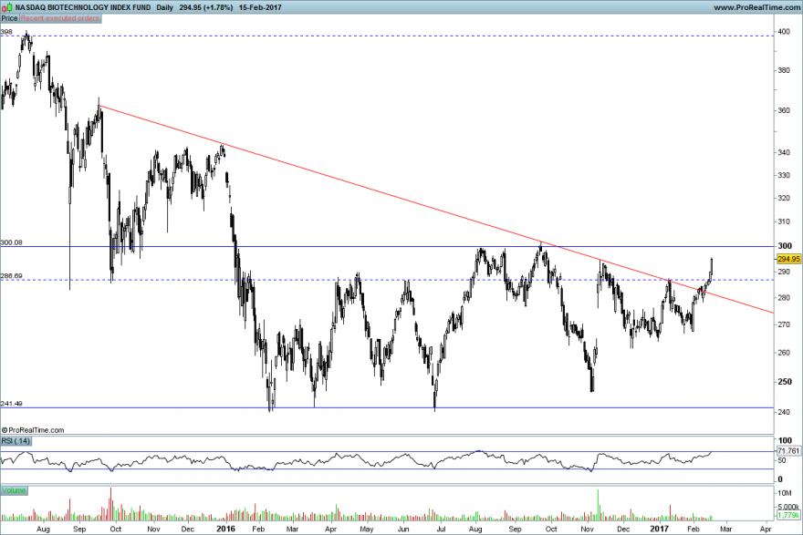 NASDAQ BIOTECHNOLOGY INDEX FUND.png