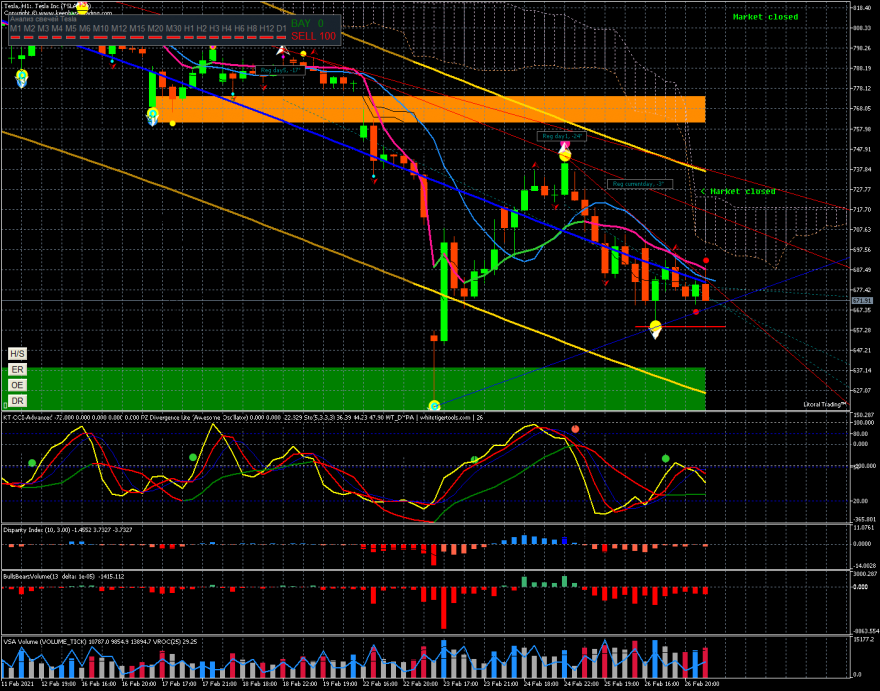 tesla-h1-trading-point-of 1h.png